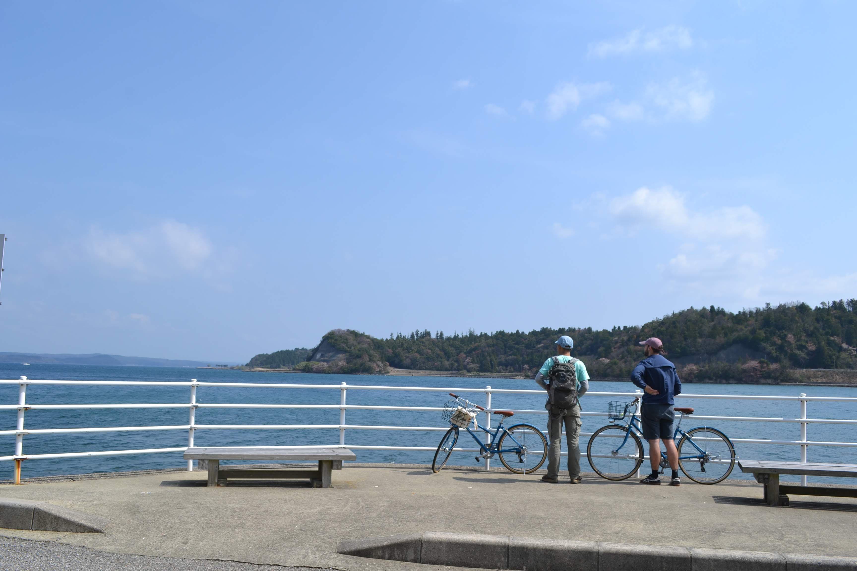 Half Day Cycling Tour